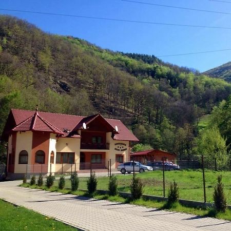 Pensiunea Silva Dobra Şugag Extérieur photo