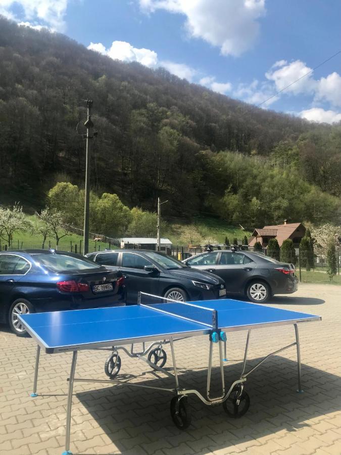 Pensiunea Silva Dobra Şugag Extérieur photo