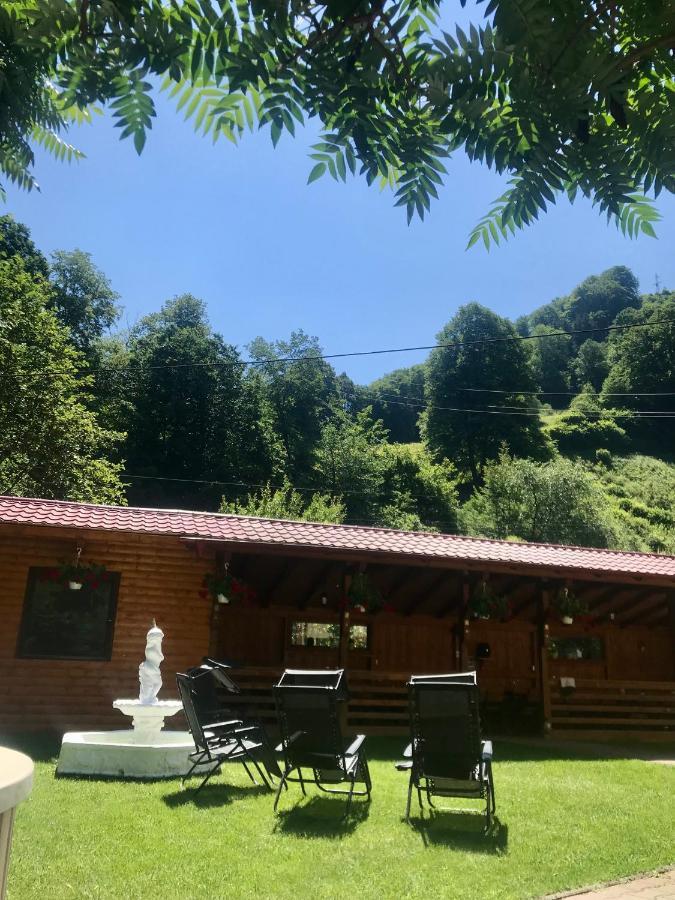 Pensiunea Silva Dobra Şugag Extérieur photo