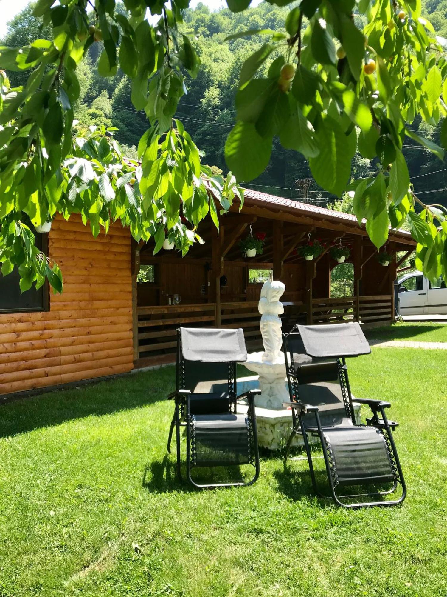 Pensiunea Silva Dobra Şugag Extérieur photo
