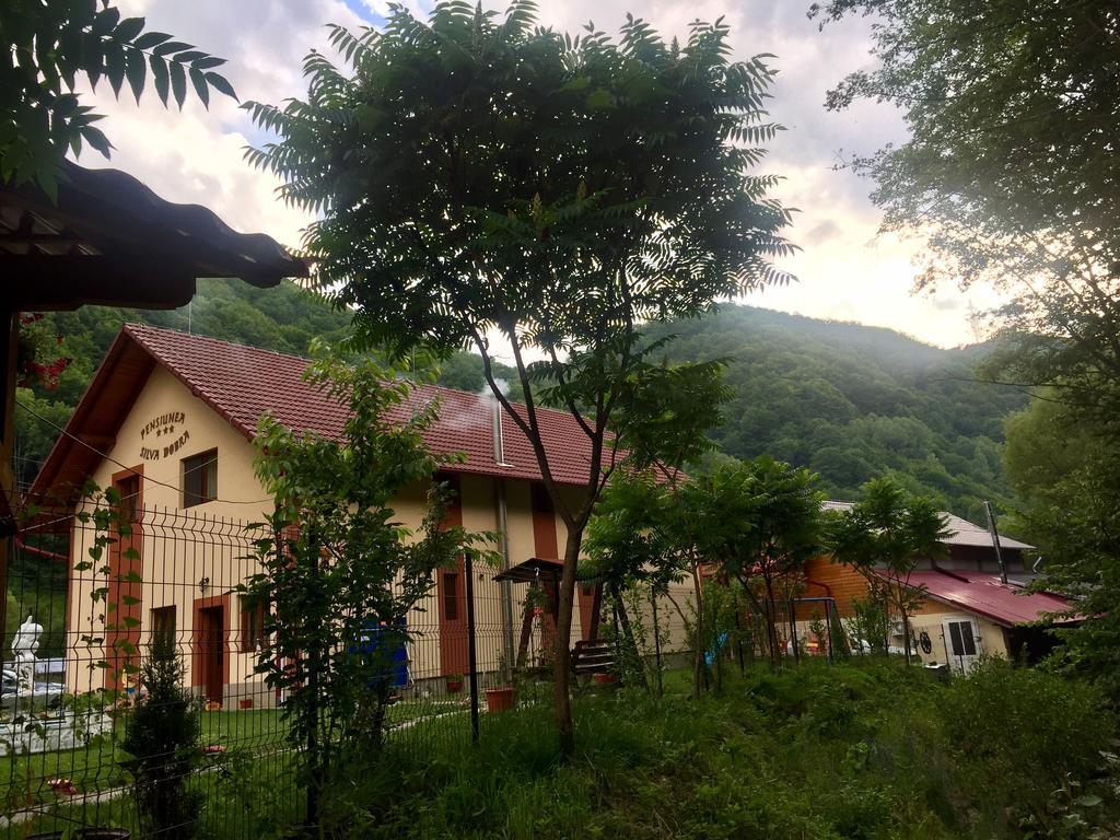 Pensiunea Silva Dobra Şugag Extérieur photo