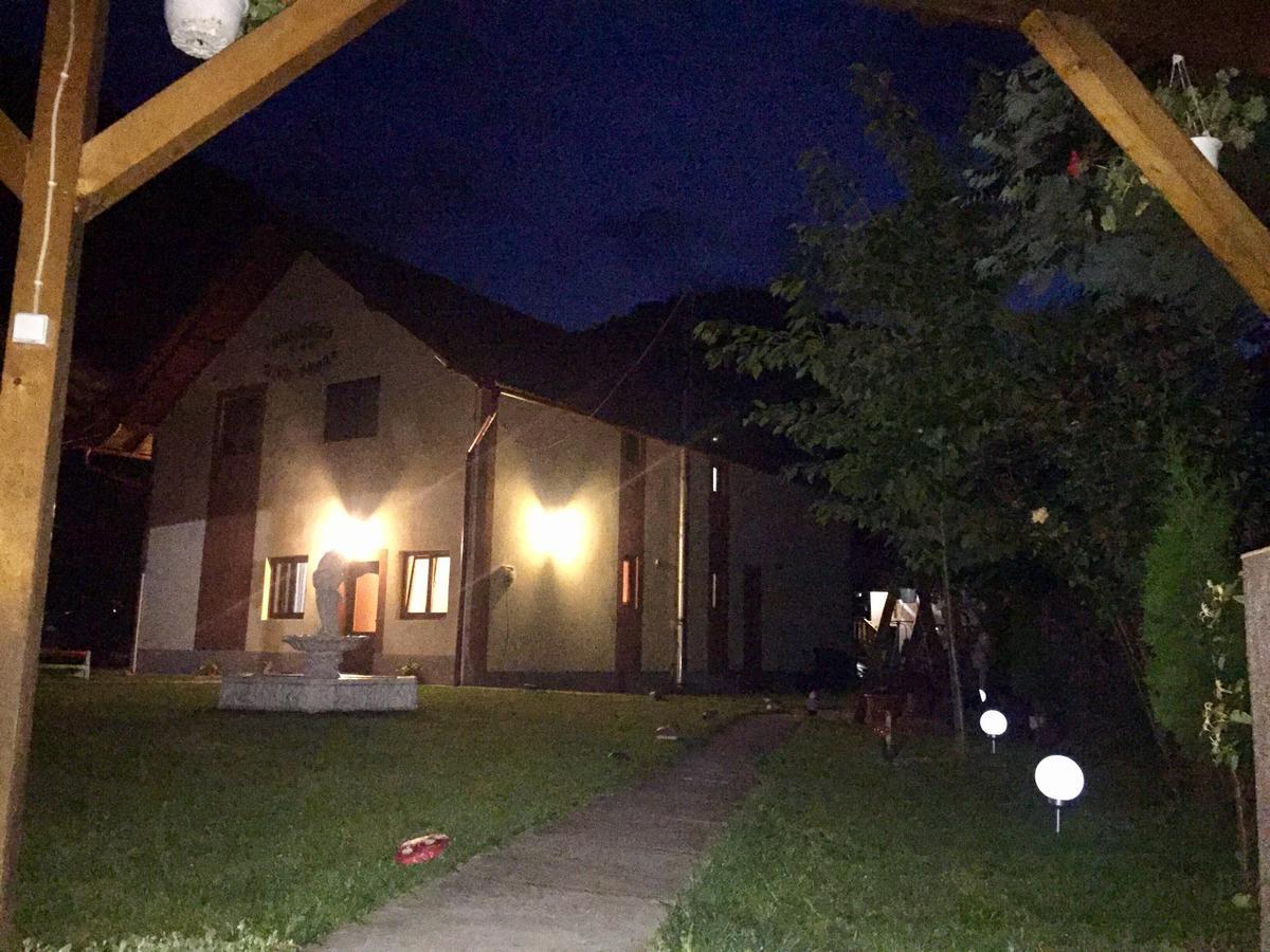 Pensiunea Silva Dobra Şugag Extérieur photo