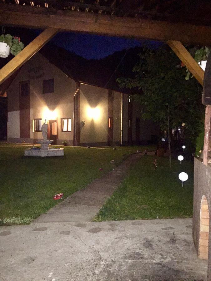 Pensiunea Silva Dobra Şugag Extérieur photo