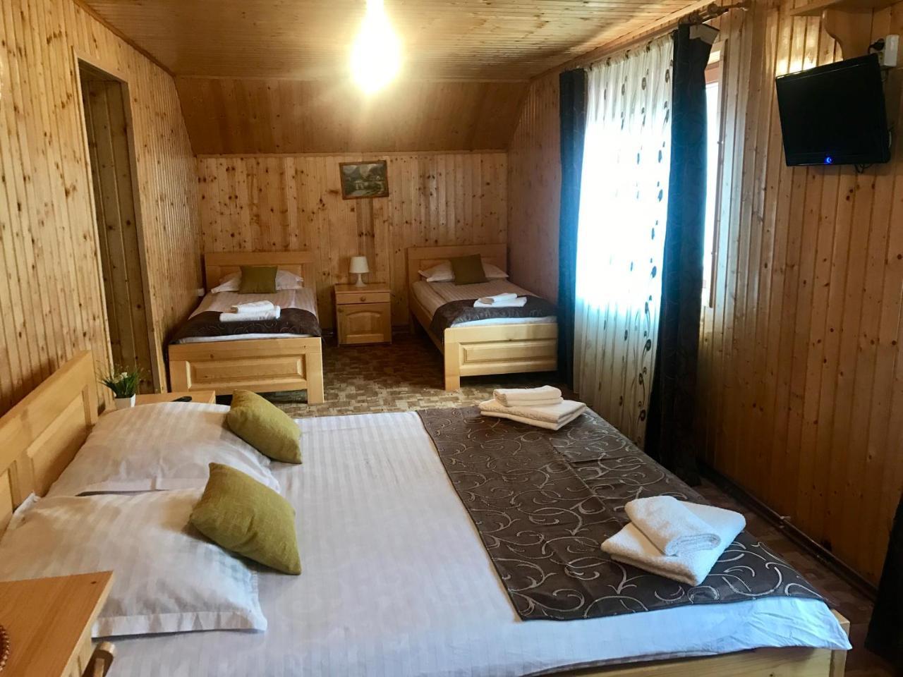 Pensiunea Silva Dobra Şugag Extérieur photo